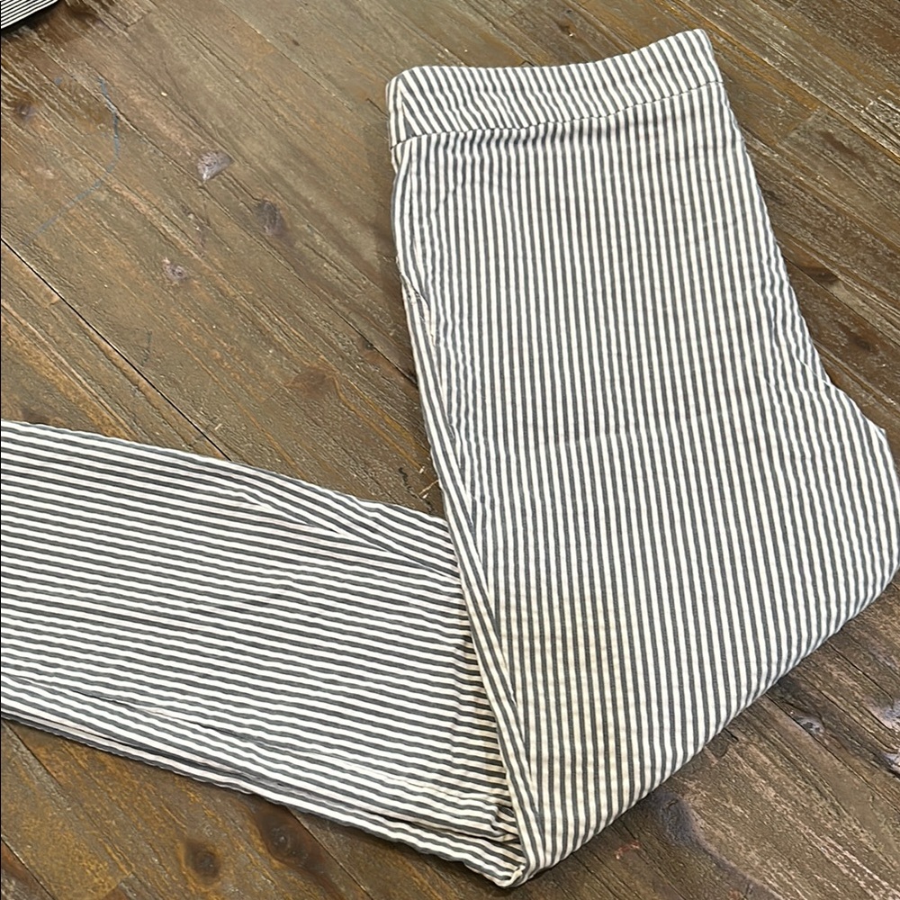 Jones & Co Ankle Pants Sz 14